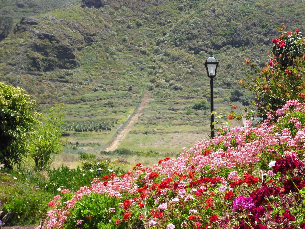 Finca El Picacho Apartments In The Countryside 2 Km From The Beach Tejina Δωμάτιο φωτογραφία